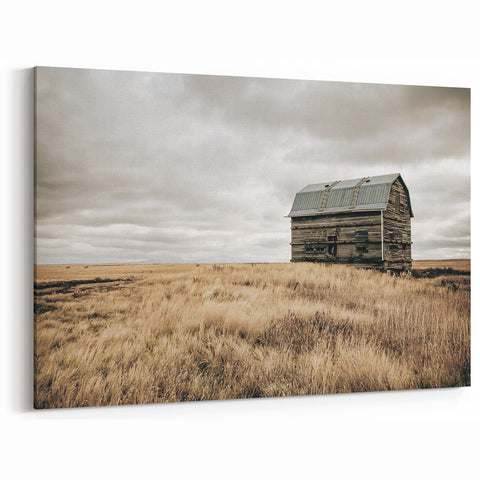 Rustic Farmhouse Wall Art: Abandoned Barn in Field - Country Style Decor