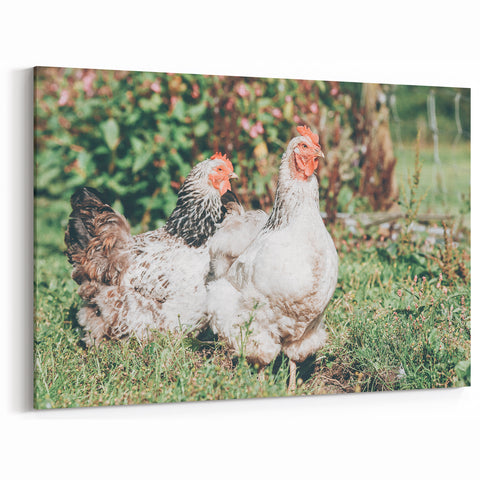 Farmhouse Wall Art: Country Chickens in Garden - Rustic Farmhouse Decor