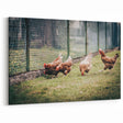 Farmhouse Wall Art: Chickens by Fence - Rustic Country Style Decor Print