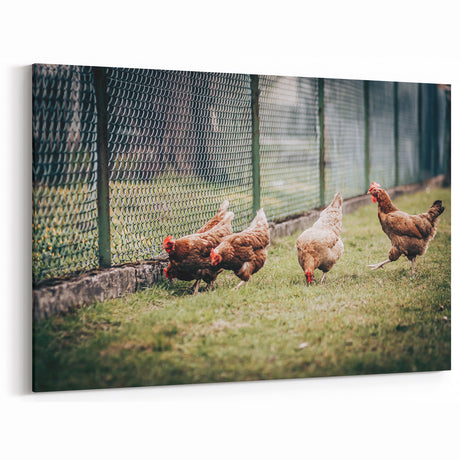 Farmhouse Wall Art: Chickens by Fence - Rustic Country Style Decor Print