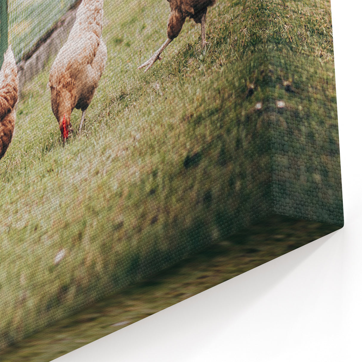 Farmhouse Wall Art: Chickens by Fence - Rustic Country Style Decor Print