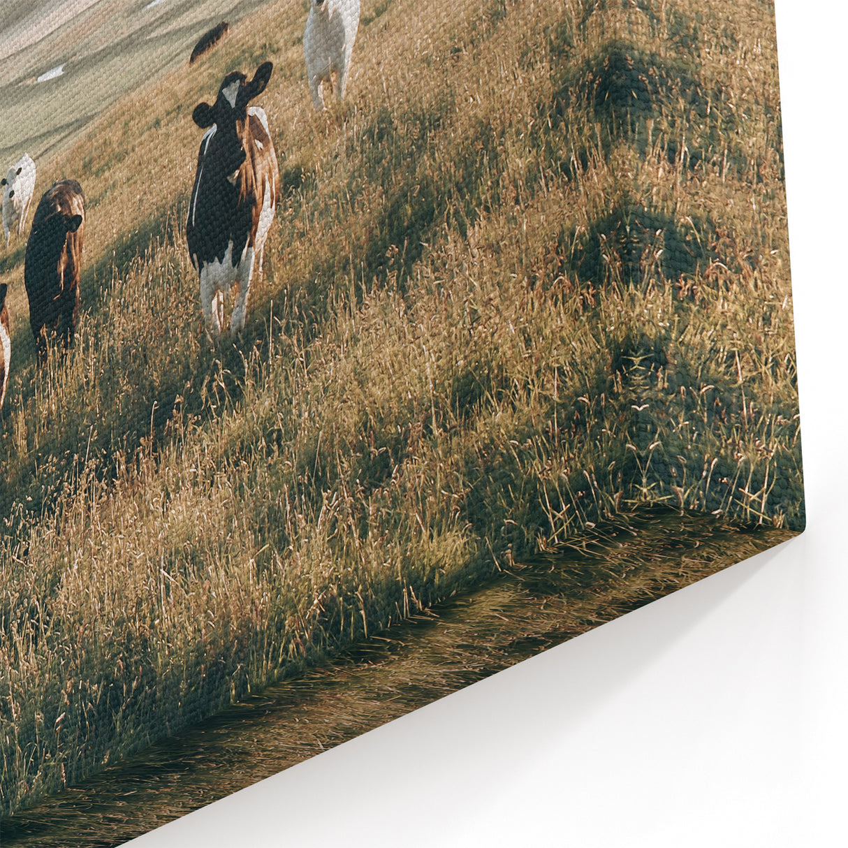 Farmhouse Wall Art: Cows in Pasture - Rustic Country Style Decor Print
