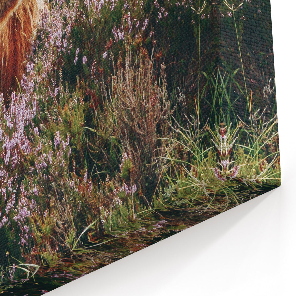 Farmhouse Wall Art: Highland Cow in Meadow - Rustic Country Decor Print