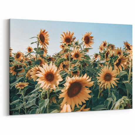 Farmhouse Wall Art: Sunflower Field - Rustic Country Style Decor Print