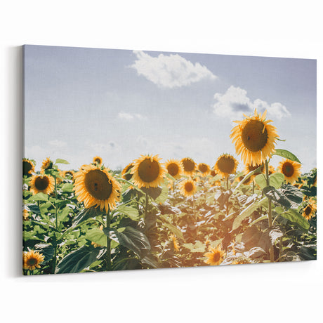 Farmhouse Wall Art: Sunflowers in Summer - Rustic Country Style Decor