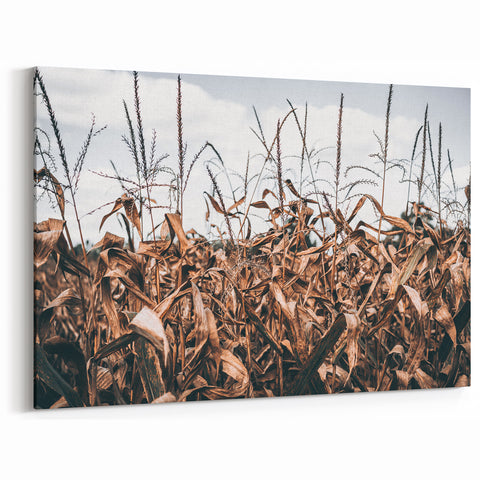 Farmhouse Wall Art: Autumn Corn Stalks - Rustic Country Style Decor Print