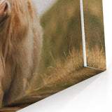 Highland Cow Portrait - Rustic Farmhouse Art Print