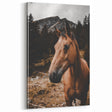 Mountain Majesty - Rustic Horse Portrait Art Print