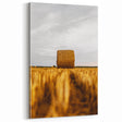 Golden Harvest - Rustic Hay Bale Art Print