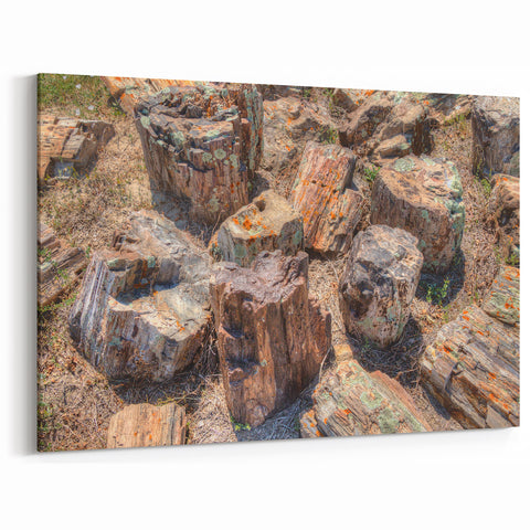 Mount Rushmore Art - Petrified Wood South Dakota Canvas Print