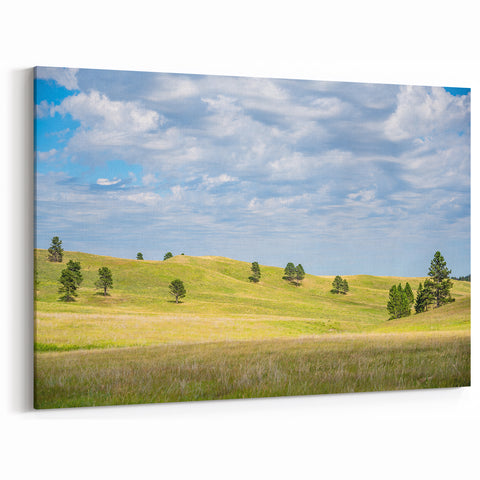 Black Hills Artwork - Rolling Hills and Open Skies South Dakota Print