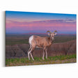 Badlands National Park Art - Scenic South Dakota Bighorn Landscape Print