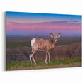 Badlands National Park Art - Scenic South Dakota Bighorn Landscape Print