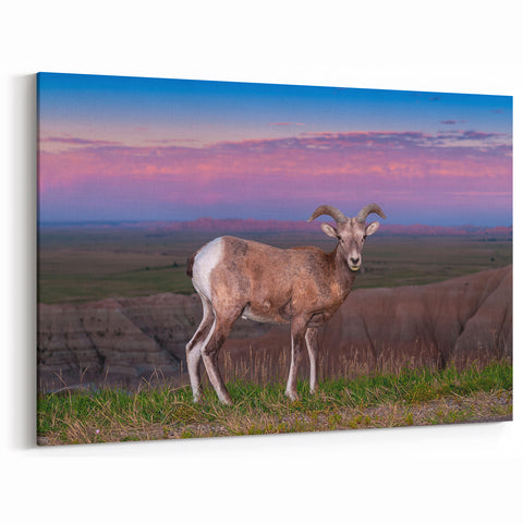 Badlands National Park Art - Scenic South Dakota Bighorn Landscape Print