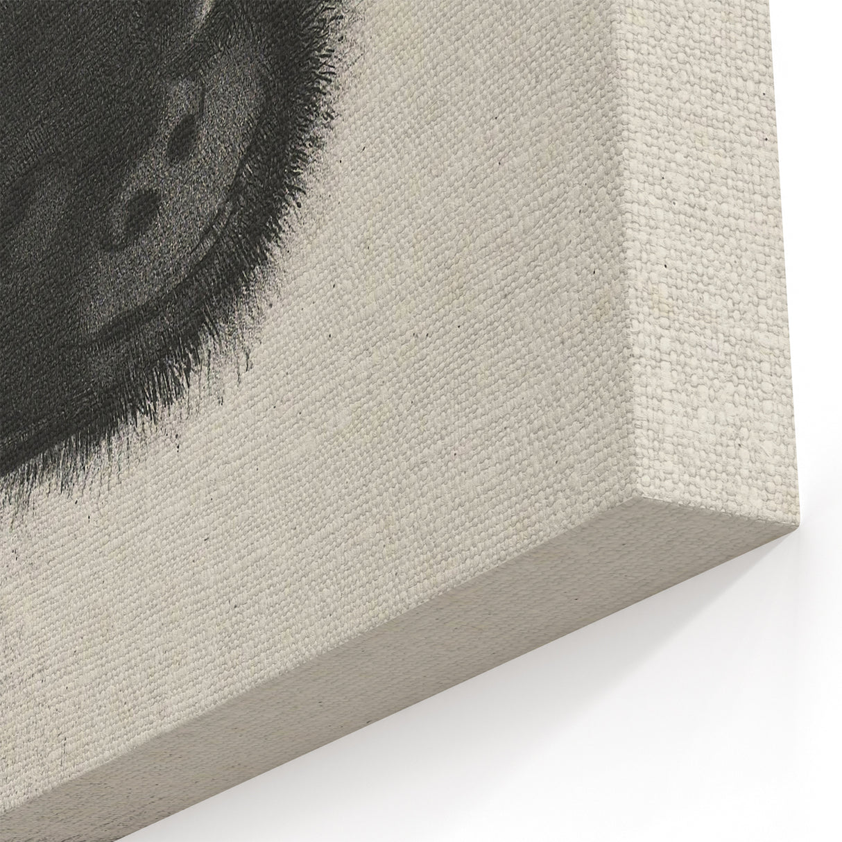 Abstract Spider Gothic Canvas – Mysterious Dark Gothic Wall Art