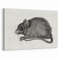 Gothic Wall Art - Vintage Mouse Illustration on Medieval Gothic Canvas