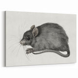 Gothic Wall Art - Vintage Mouse Illustration on Medieval Gothic Canvas