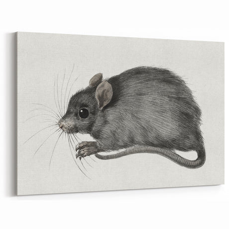 Gothic Wall Art - Vintage Mouse Illustration on Medieval Gothic Canvas