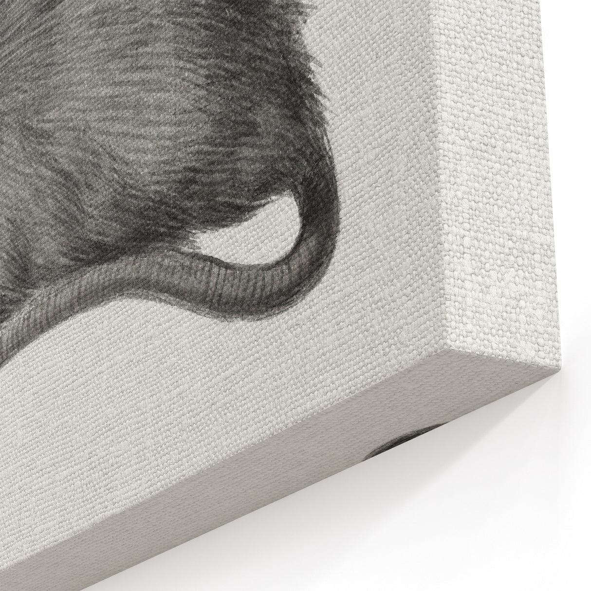 Gothic Wall Art - Vintage Mouse Illustration on Medieval Gothic Canvas