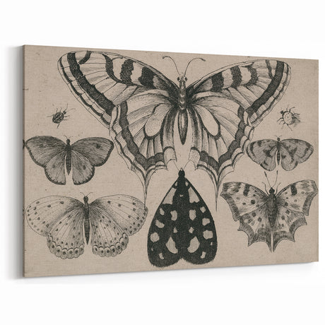 Gothic Artworks - Vintage Insect Illustration on Medieval Gothic Canvas