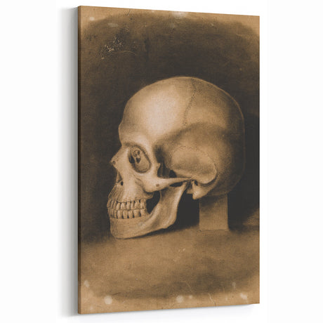 Vintage Skull Grunge Art - Distressed Canvas Print - Gothic Decor