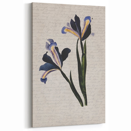 Abstract Grunge Floral Art - Botanical Canvas Print - Vintage Decor