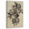 Grunge Citrus Botanical Art - Distressed Vintage Lemon Canvas Print