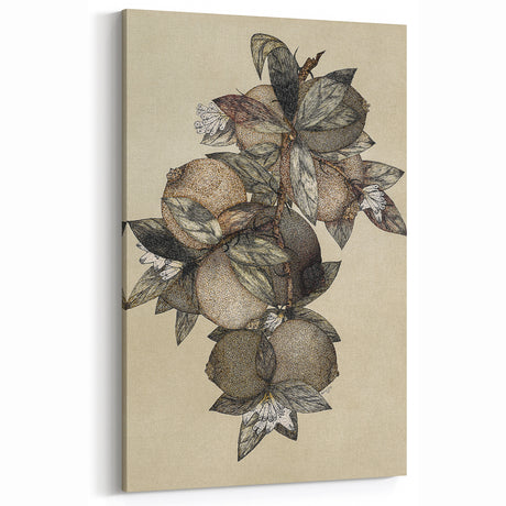Grunge Citrus Botanical Art - Distressed Vintage Lemon Canvas Print
