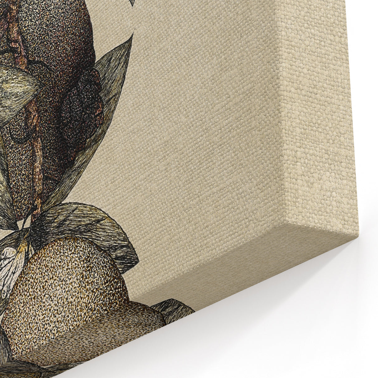 Grunge Citrus Botanical Art - Distressed Vintage Lemon Canvas Print
