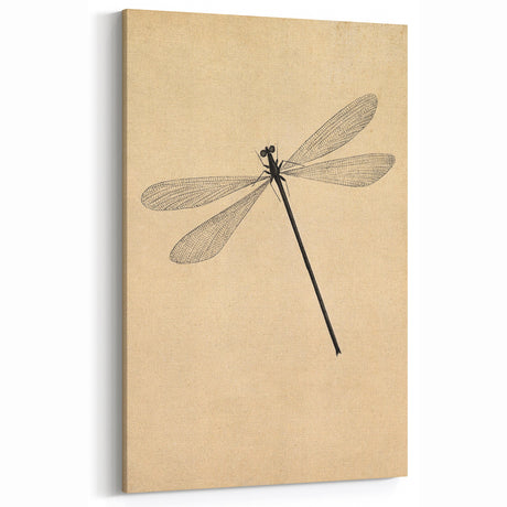 Minimalist Grunge Dragonfly Art - Vintage Insect Canvas Wall Decor