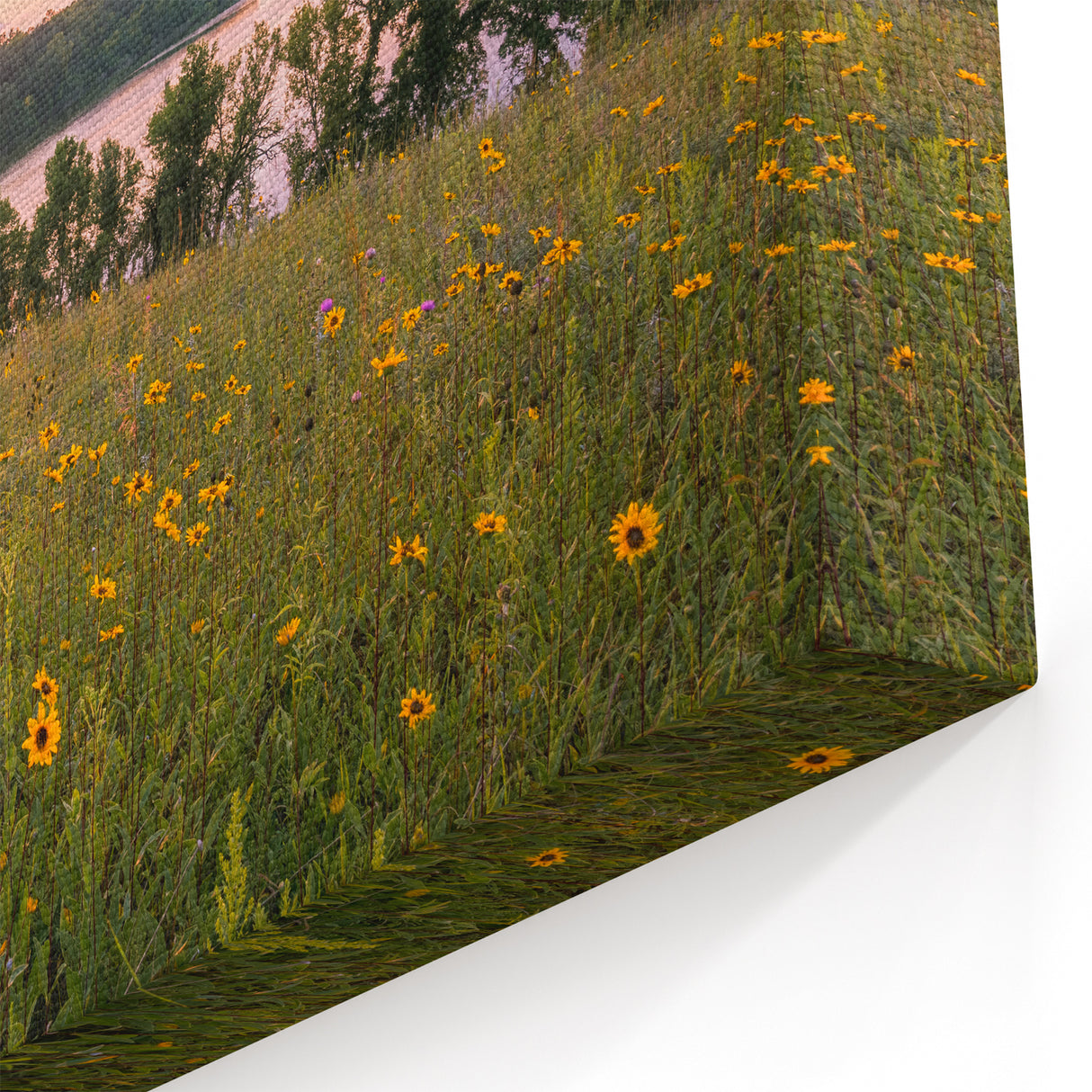 Minnesota Prairie Sunset - Framed and Canvas Wall Art for Nature Lovers