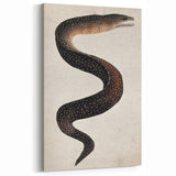 Abstract Grunge Art - Vintage Eel Design - Urban Grunge Canvas Print