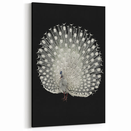 Grunge Peacock Art - Vintage Feathers Canvas Print - Urban Decor