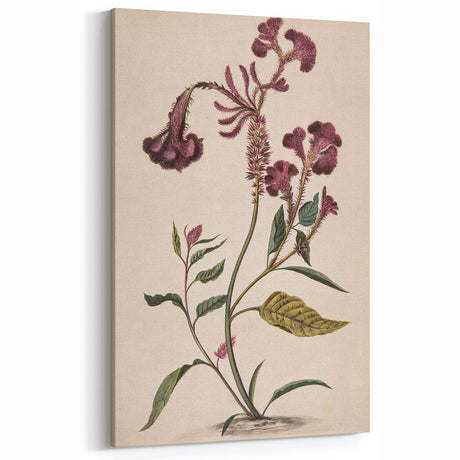 Vintage Floral Grunge Art - Distressed Botanical Canvas Print - Urban Decor
