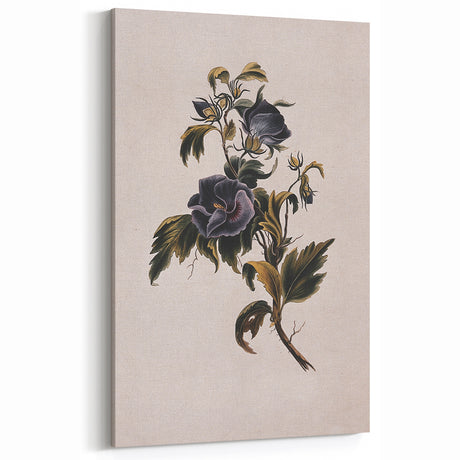 Vintage Floral Grunge Art - Distressed Botanical Canvas Print - Urban Decor