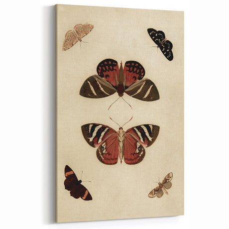 Vintage Grunge Butterfly Art Print - Distressed and Edgy Wall Decor