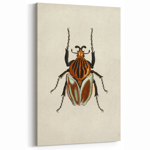 Vintage Grunge Beetle Art - Distressed Insect Illustration Wall Print