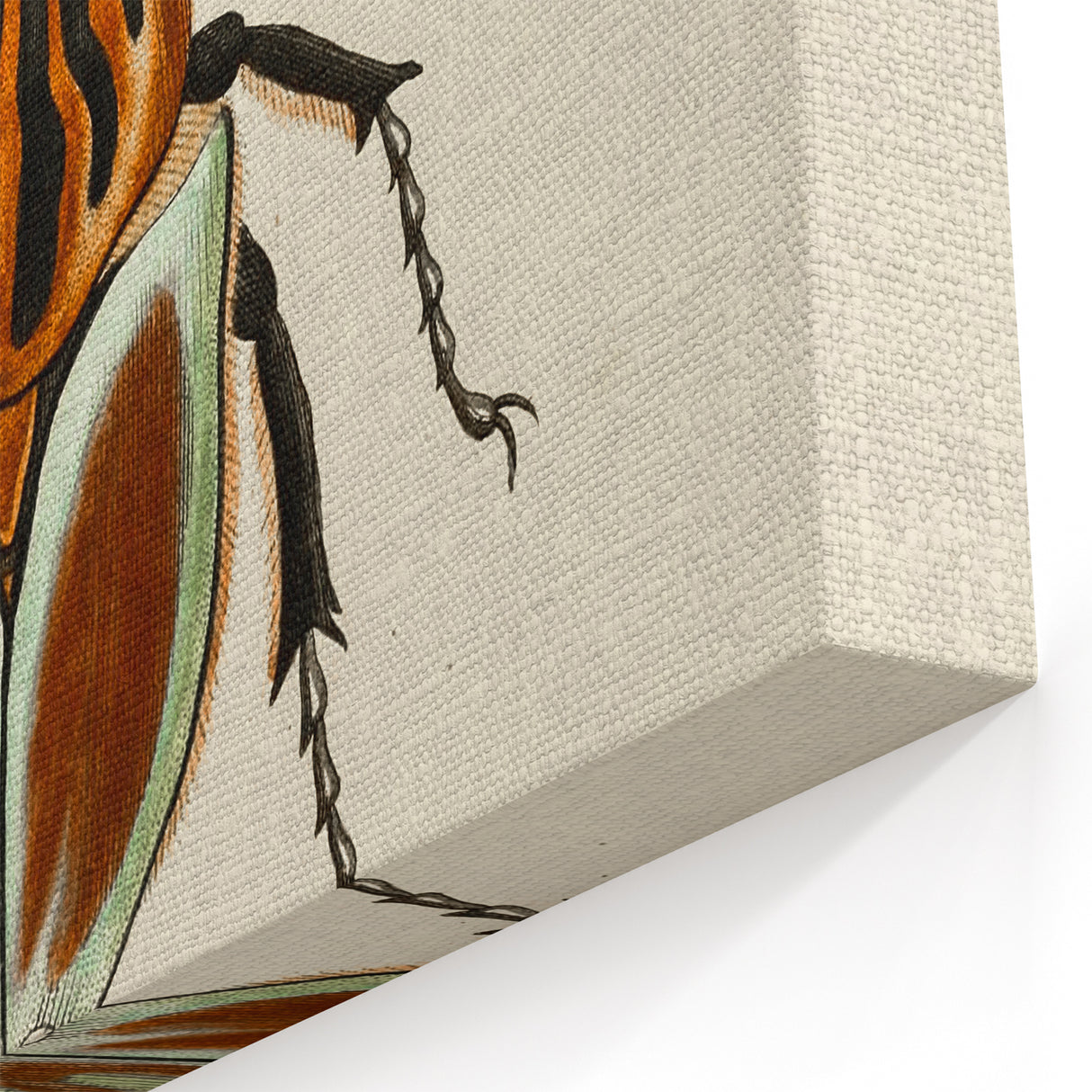 Vintage Grunge Beetle Art - Distressed Insect Illustration Wall Print