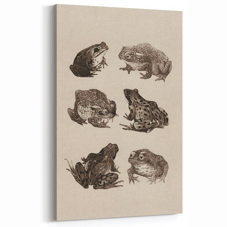 Vintage Grunge Frog Illustration - Distressed Amphibian Wall Art Print