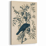 Grunge Crow and Fruit Illustration - Vintage Botanical Wall Art Print