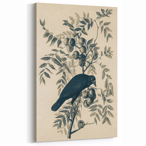 Grunge Crow and Fruit Illustration - Vintage Botanical Wall Art Print