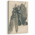 Vintage Grunge Insect Anatomy Print - Detailed Scientific Wall Art