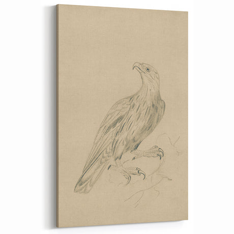 Abstract Grunge Eagle Sketch - Vintage Bird Wall Art Print