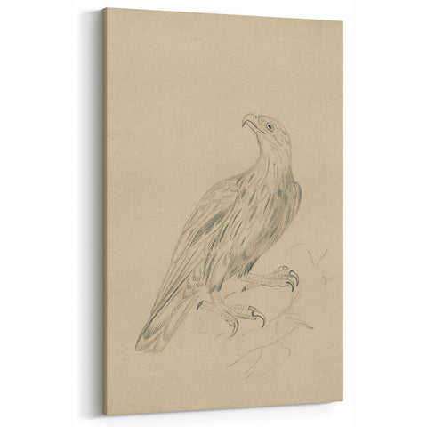 Abstract Grunge Eagle Sketch - Vintage Bird Wall Art Print