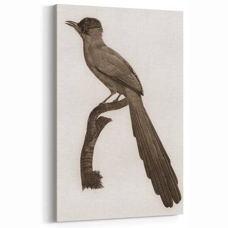Vintage Grunge Bird Wall Art - Distressed Canvas Print for Modern Decor