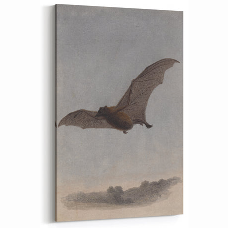 Vintage Grunge Bat Wall Art - Dark Urban Canvas Print for Edgy Decor