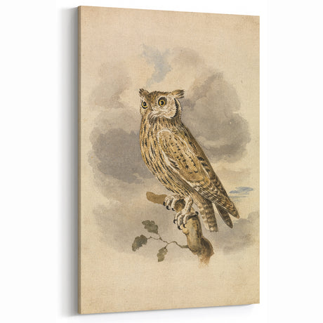 Retro Grunge Owl Wall Art - Vintage Distressed Canvas Print Decor
