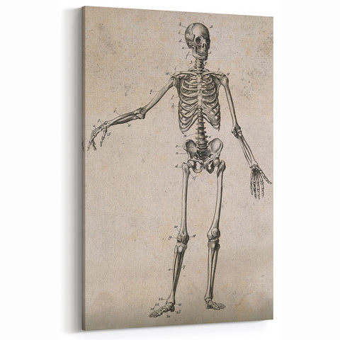 Abstract Grunge Skeleton Canvas Print - Modern Grunge Wall Art Decor