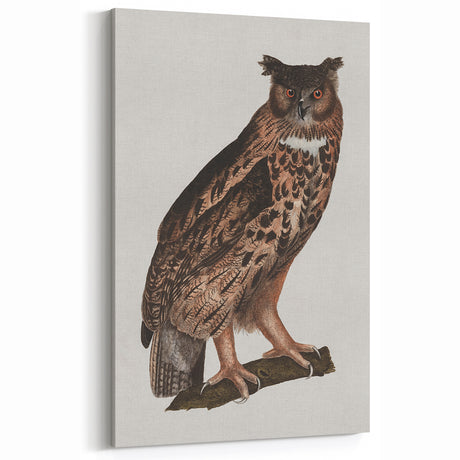 Grunge Owl Art Print | Vintage Grunge Canvas | Urban Grunge Wall Decor
