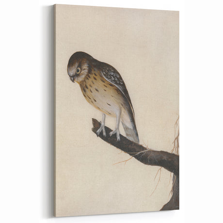 Grunge Bird Art Print | Vintage Grunge Canvas | Urban Nature Wall Decor